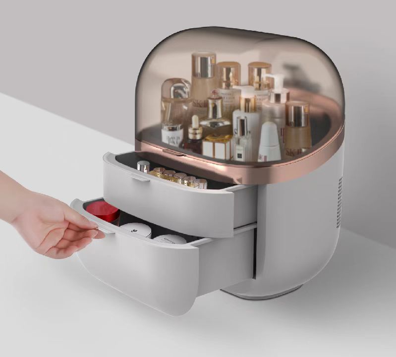 22L Portable Skincare Fridge - - Beauty Makeup Light reseña y precio